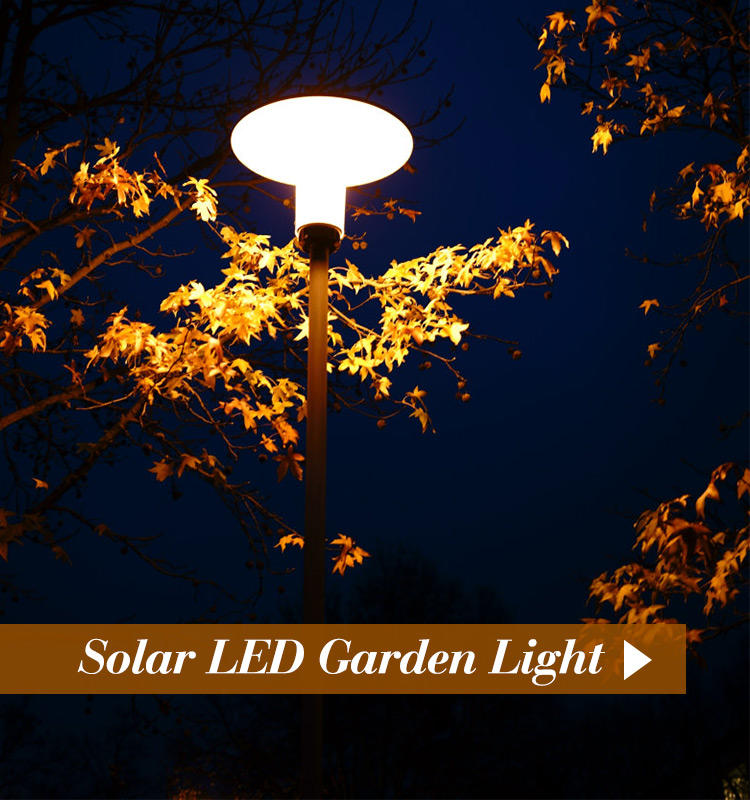 ALLTOP solar light for road supplier for garden