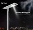 best supplier luminaire street light company for art lighting