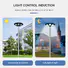 Top Selling led solar garden lights from China