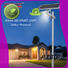 energy-saving cob ip65 solar led street light popular for garden